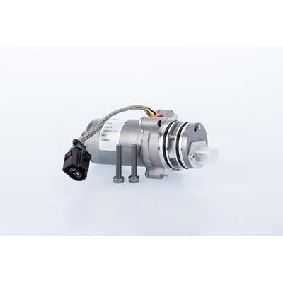 BORGWARNER (AWD) Pumpe, Lamellenkupplung-Allradantrieb DS4601410015 Hinterachse für LAND ROVER JAGUAR