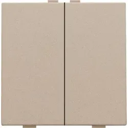Niko Züblin 157-51002 Zweifach Taster für Niko Home Control, champagne coated 15751002