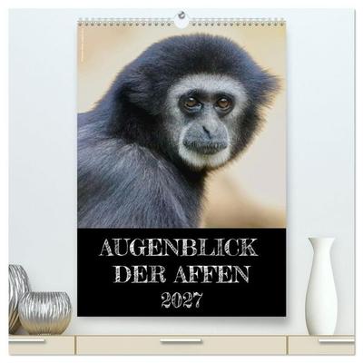 Augenblick der Affen 2027 (hochwertiger Premium Wandkalender 2027 DIN A2 hoch), Kunstdruck in Hochglanz
