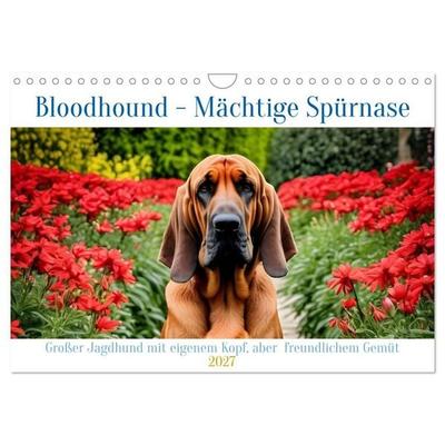 Bloodhound - Mächtige Spürnase (Wandkalender 2027 DIN A4 quer), CALVENDO Monatskalender