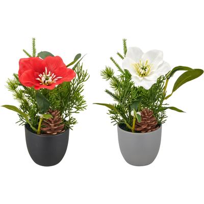 Winterliche Kunstpflanze CREATIV GREEN "Arrangement mit Christrose", grün (bunt), H:18cm, Polyester, Kunstpflanzen, mit Tannenzweigen und Zapfen