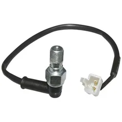 P2R, Motorrad Zubehör, Bremslichtschalter Roller Hauptzylinder 50 a Getriebe hinten original für rieju 50 mrt