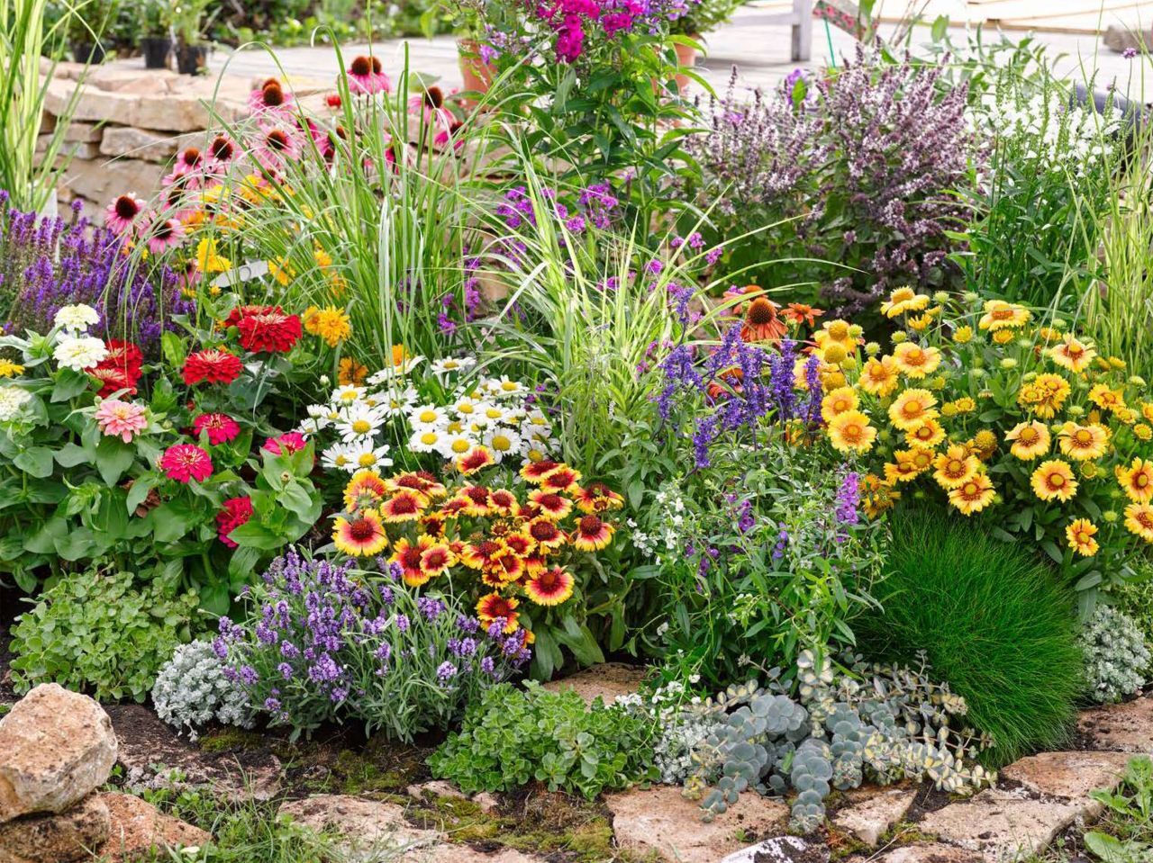 Pflanzen Stauden Gartensortiment Mix 17 cm Topf