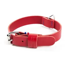 Martin Sellier 499 (35, 54, Hund, Allgemein, Spazieren), Halsband + Leine