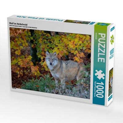 CALVENDO Puzzle Wolf im Herbstwald | 1000 Teile Lege-Größe 64x48cm Foto-Puzzle für glückliche Stunden