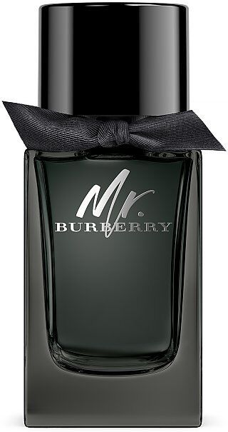 BURBERRY Mr. Burberry Eau de Parfum 100ml EG
