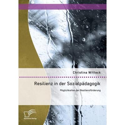 Resilienz in der Sozialpädagogik: Möglichkeiten der Resilienzförderung, Taschenbuch von Christina Witteck, Diplomica Verlag GmbH, 978-3-8428-9619-2