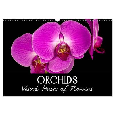 Orchids (Wall Calendar 2026 DIN A3 landscape), CALVENDO 12 Month Wall Calendar