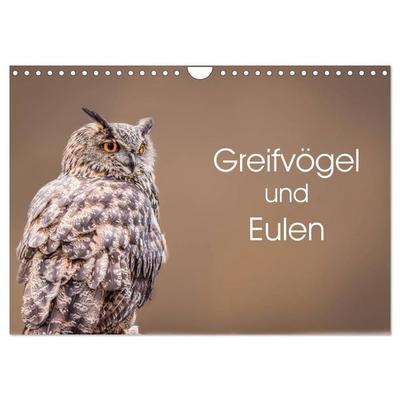 Greifvögel und Eulen (Wandkalender 2027 DIN A4 quer), CALVENDO Monatskalender