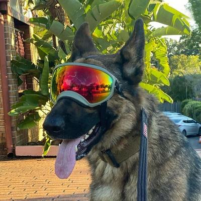 Uplift Treasures Dog Goggles UV Protection Eyewear Dog Goggles UV Protection Eyewear