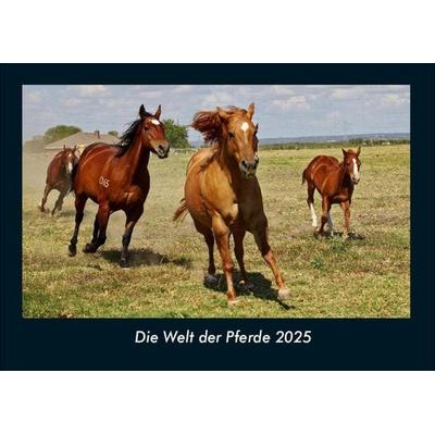 Die Welt der Pferde 2025 Fotokalender DIN A4