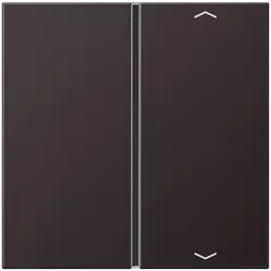 Jung Taste 1-fach AL 2401 TSAP D