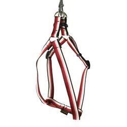 Arka Hunde-Geschirr Nylon Gurtzeug (Hund, Spazieren), Halsband + Leine