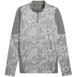 PUMA teamCUP 1/4-Zip Trainings-Top Herren 13 - flat medium gray/puma silver/flat light gray S