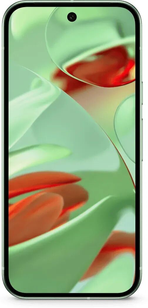 Google Pixel 9   256 GB   Dual-SIM   Wintergreen - Refurbished