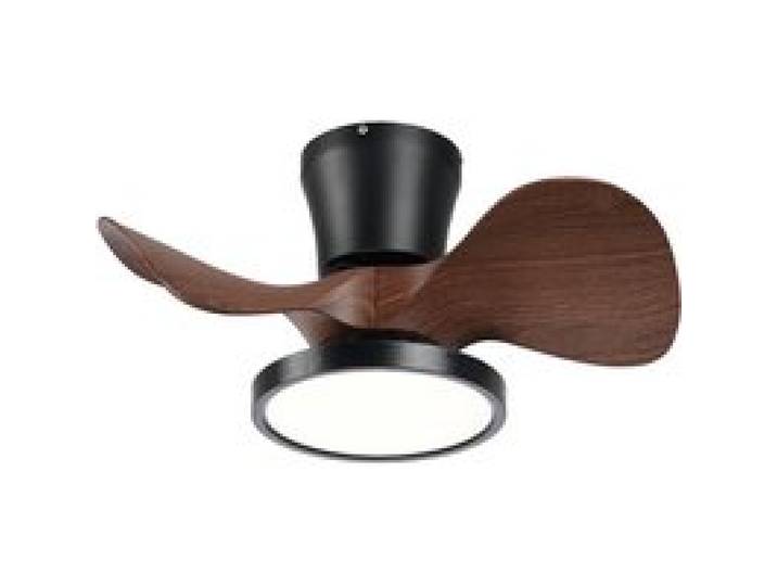 Ventilateur Silencieux 55 9 cm avec LED Télécommande pour Cuisine Chambre Salle à Manger