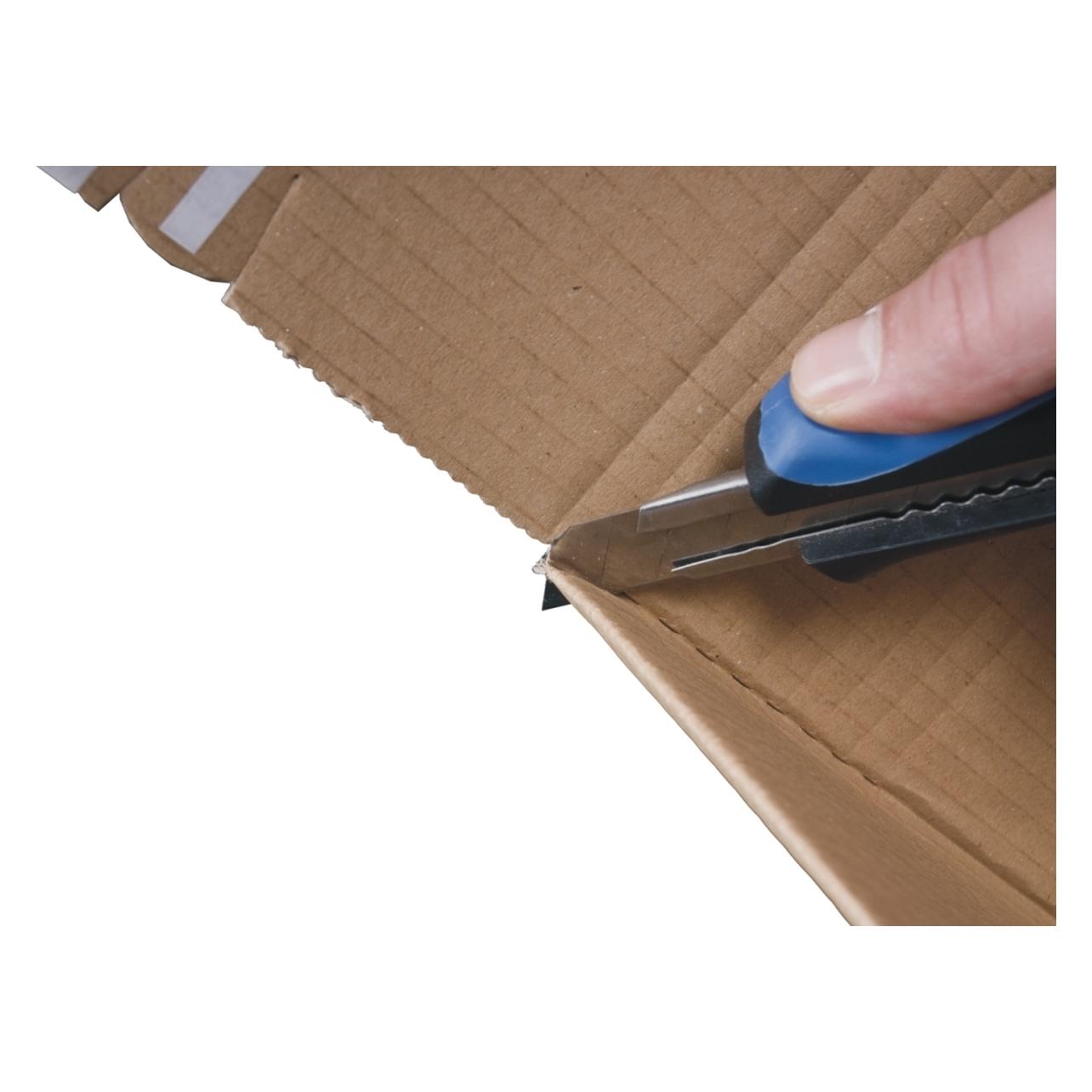 Smartboxpro Verpackungskarton 22x33,5x8-19cm VE=10 Stück braun (10 Stk., 32 x 22 x 8 cm) (212102010)