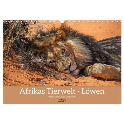 Afrikas Tierwelt - Löwen (Wandkalender 2027 DIN A3 quer), CALVENDO Monatskalender