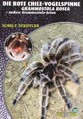 Boris Striffler - Die Rote Chile-Vogelspinne + andere Grammostola-Arten: Grammostola rosea - Preis vom 09.10.2026 07:28:09 h