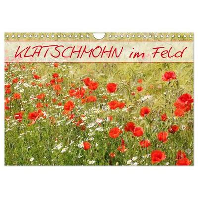 Klatschmohn im Feld (Wandkalender 2027 DIN A4 quer), CALVENDO Monatskalender