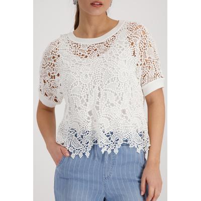 Ajourpullover MONARI "Pullover Basic Spitze", Damen, Gr. 44, weiß (sanftes weiß), Strick, Obermaterial: 100% Baumwolle. Spitze: 92% Baumwolle, 6% Polyamid, 2% Elasthan, transparent, unifarben, regular fit normal, Rundhals, Pullover, aus Spitze