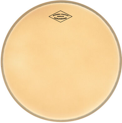 "Aquarian 10"" Modern Vintage Coated "
