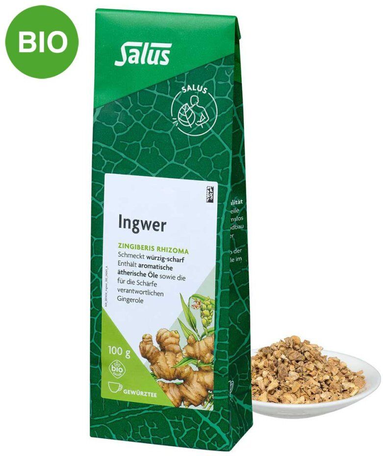 Ingwer Gewürztee Zingiber officinale bio Salus