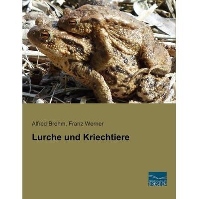 Lurche und Kriechtiere, Taschenbuch von Alfred Brehm,Franz Werner, Fachbuchverlag Dresden, 978-3-95692-504-7