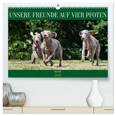 Unsere Freunde auf vier Pfoten - Hunde (hochwertiger Premium Wandkalender 2026 DIN A2 quer), Kunstdruck in Hochglanz