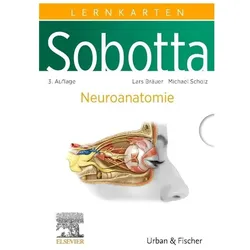 Bräuer:Sobotta Lernkarten Neuroanatomie, Fachbücher von Michael Scholz, Lars Bräuer