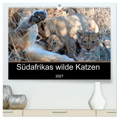 Südafrikas wilde Katzen (hochwertiger Premium Wandkalender 2027 DIN A2 quer), Kunstdruck in Hochglanz