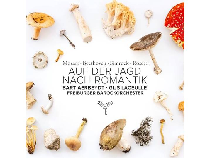 Auf Der Jagd Nach Romantik