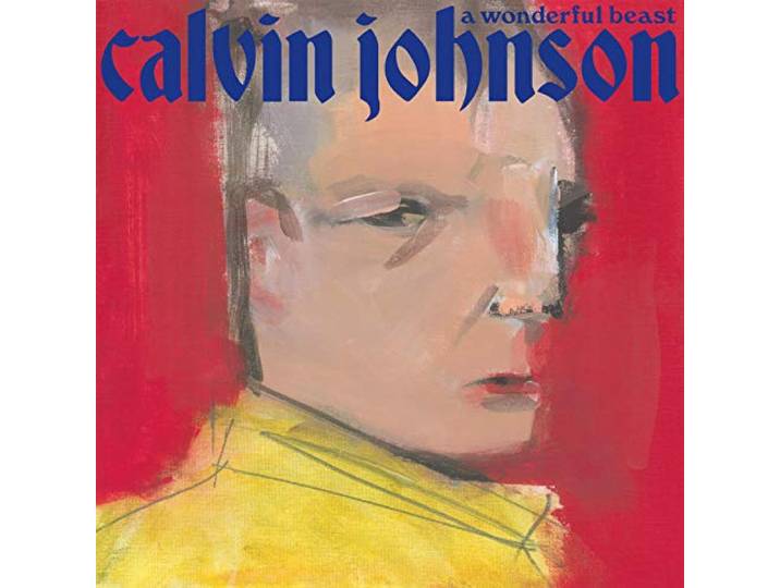 Calvin Johnson - A Wonderful Beast