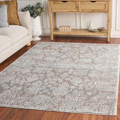 SAFAVIEH Chamber Argentina Area Rug