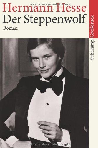 Hermann Hesse - Der Steppenwolf: Großdruck (suhrkamp taschenbuch) - Preis vom 18.10.2026 15:28:09 h