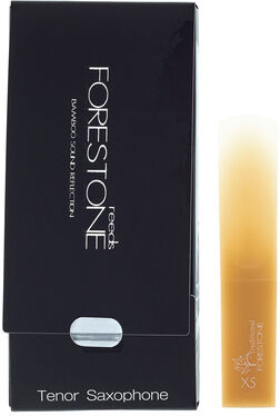 Forestone Tenor Saxophone H