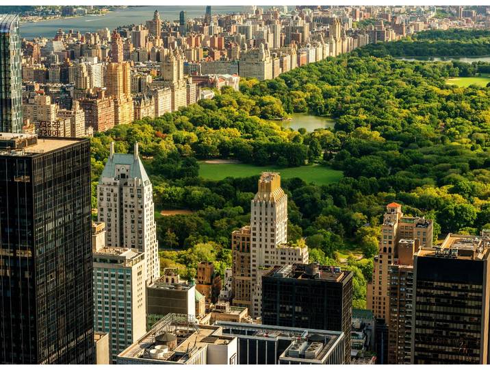 Fototapete PAPERMOON Central Park Manhattan , bunt, B:3,5m L:2,6m, Vlies, Tapeten, Fototapete