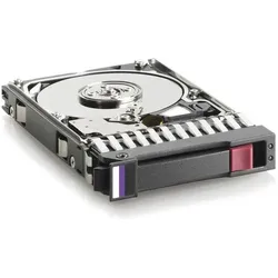 HPE Enterprise Festplatte (0.30 TB, 2.5"), Festplatte