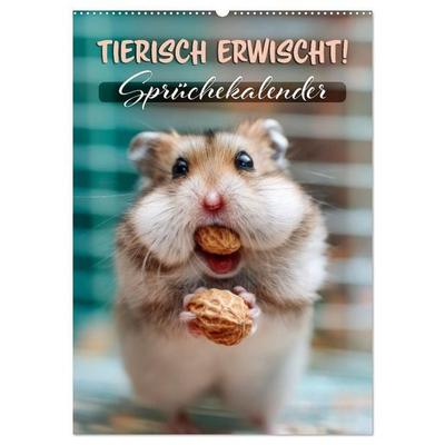 Tierisch erwischt (Wandkalender 2027 DIN A2 hoch), CALVENDO Monatskalender
