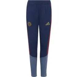 ADIDAS Kinder Fanhose FC Bayern 26/27 Training, Größe 128 in Blau Blau