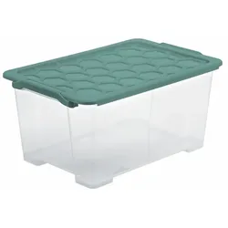 Rotho Aufbewahrungsbox Evo Safe 44l Kunststoff Grün L (Large)