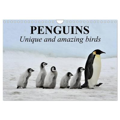 Penguins Unique and amazing birds (Wall Calendar 2026 DIN A4 landscape), CALVENDO 12 Month Wall Calendar