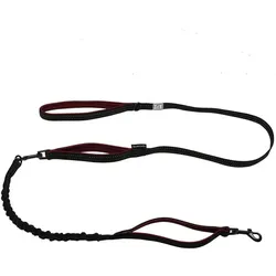 Duvoplus Ultimate Fit 2in1 Fashion (Hund, Spazieren), Halsband + Leine