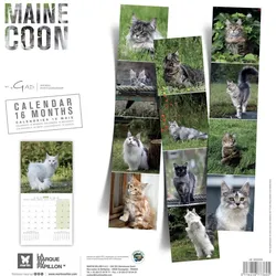 Martin Sellier, Kalender, Maine Coon