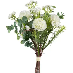 Dhalia Pompondhalienbund II Grün/Weiß ca. 30cm
