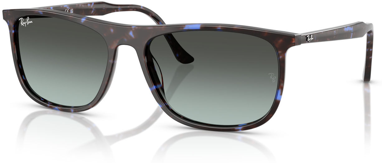 Ray-Ban 2216 (1430GK)