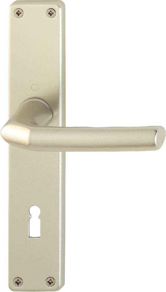 HOPPE Türgriff Birmingham 1117/202SP 2533935