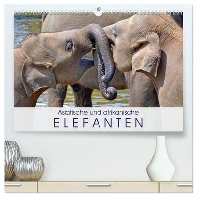 Asiatische und afrikanische Elefanten (hochwertiger Premium Wandkalender 2027 DIN A2 quer), Kunstdruck in Hochglanz
