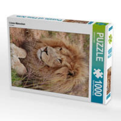 CALVENDO Puzzle Löwen Männchen | 1000 Teile Lege-Größe 64x48cm Foto-Puzzle für glückliche Stunden