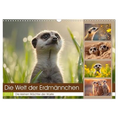 Die Welt der Erdmännchen (Wandkalender 2027 DIN A3 quer), CALVENDO Monatskalender